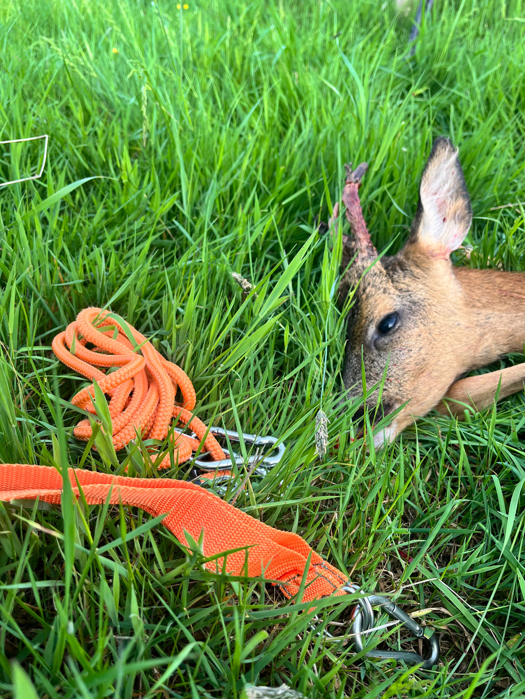 Field Rope Kit